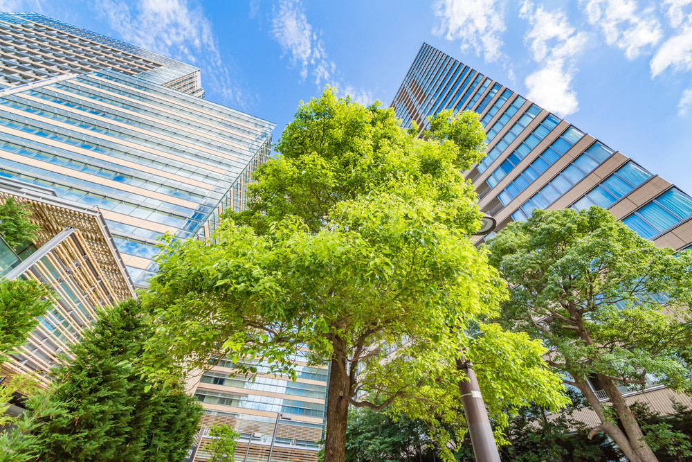 green construction strategies